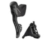 Image 1 for Campagnolo Super Record Ergopower Hydraulic Disc Brake/Shift Lever (Black) (Left) (2x)