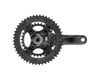 Image 7 for Campagnolo Super Record Wireless Crankset (Black) (2 x 12 Speed) (Ultra-Torque) (165mm) (48/32T)