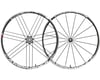 Image 1 for Campagnolo Eurus Wheelset (Black) (700c) (QR x 100/130mm) (Clincher)