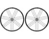 Image 1 for Campagnolo Shamal Ultra Disc Brake Wheelset (2-Way Fit) (700c)