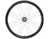 Image 3 for Campagnolo Shamal Carbon Disc Brake Rear Wheel (Black) (Campagnolo N3W) (12 x 142mm) (700c)