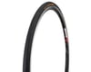 Image 1 for Continental Hometrainer Trainer Tire (Black) (700c) (23mm)