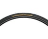 Image 3 for Continental Hometrainer Trainer Tire (Black) (700c) (32mm)
