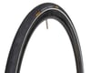 Related: Continental Contact Speed Tire (Black/Reflex) (700c) (32mm)