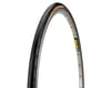 Image 1 for Continental Gatorskin Tire (Black) (650c) (23mm) (571 ISO)