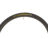 Image 3 for Continental Gatorskin Tire (Black) (700c) (25mm)