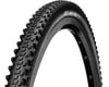 Image 1 for Continental Ruban Shieldwall Tubeless Tire (Black) (29" / 622 ISO) (2.1")