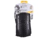 Image 2 for Continental Ruban Shieldwall Tubeless Tire (Black) (29" / 622 ISO) (2.1")