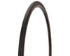 Image 1 for Continental Sprinter Gatorskin Tubular Road Tire (Black) (700c) (25mm)