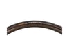 Image 3 for Continental Sprinter Gatorskin Tubular Road Tire (Black) (700c) (25mm)