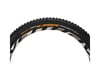 Image 3 for Continental Der Kaiser Projekt ProTection Apex Tubeless Tire (Black)