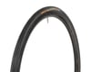 Image 1 for Continental Sport Contact Tire (Black) (700X28c)
