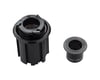 Image 2 for DT Swiss Campagnolo Freehub Body 9-12 Speed (12 x 142mm Axle)