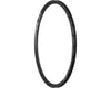 Image 1 for DT Swiss RR 481 Road Rim (Black) (Tubeless) (Disc Brake) (22mm Internal Width) (24H) (700c)