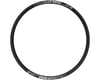 Image 2 for DT Swiss RR 481 Road Rim (Black) (Tubeless) (Disc Brake) (22mm Internal Width) (24H) (700c)