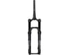 Image 2 for DVO Beryl Boost Trail Fork (Black) (51mm Offset) (29") (160mm)