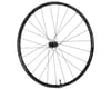 Image 1 for Easton EA90 AX Front Wheel (Black) (12 x 100mm) (700c)
