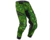 Image 1 for Fly Racing Evolution DST Pants (Green/Black) (30)