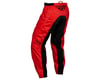 Image 2 for Fly Racing Youth F-16 Pants (Red/Black/Grey) (26)