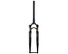 Image 4 for Fox Suspension 32 Taper-Cast Factory Series Suspension Fork (Shiny Black) (45mm Offset) (700c) (50mm)