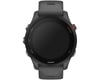 Image 9 for Garmin Forerunner 255 GPS Smartwatch (Slate Grey) (46mm Case)