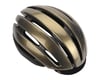 Image 1 for Giro Ash Women's Helmet - Closeout (Black Gold Pearl)