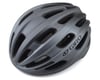 Giro Isode MIPS Helmet (Matte Titanium Grey) (Universal Adult)