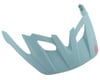Image 1 for Giro Fixture Replacement Visor (Frost)
