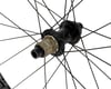 Image 2 for HED Emporia GA Performance Rear Wheel (Black) (SRAM XDR) (12 x 142mm) (700c / 622 ISO)
