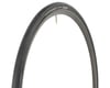 Image 1 for Hutchinson Sector 28 Tubeless Road Tire (Black) (700c / 622 ISO) (28mm)
