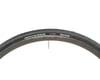 Image 3 for Hutchinson Sector 28 Tubeless Road Tire (Black) (700c) (28mm)