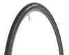 Image 1 for Hutchinson Fusion-5 All Season Tubeless Road Tire (700c / 622 ISO) (25mm)