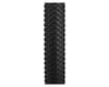 Image 2 for Kenda Small Block 8 Sport Tire (Black) (26 x 2.1")