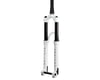 Related: Manitou Circus Expert Suspension Fork (White) (Straight)