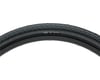 Image 1 for Maxxis DTH BMX Tire (Black) (20") (1.75") (406 ISO)
