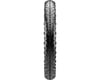 Image 2 for Maxxis Mammoth Dual Compound Tire