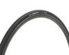 Image 2 for Maxxis Padrone Road Tubeless Tire