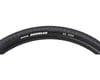 Image 3 for Maxxis Rambler Dual Compound Gravel Tire (EXO/TR) (700 x 40)