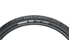 Image 1 for Maxxis Race TT Tubeless Tire (Folding) (29 x 2.0) (Dual Compound)