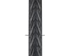 Image 2 for Michelin Protek Tire (Black) (700c / 622 ISO) (38mm)