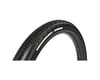 Related: Panaracer GravelKing SK Tubeless Gravel Tire (Black) (650b) (43mm)