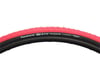 Image 1 for Panaracer T-Serv ProTite Tire (Red/Black)