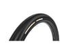 Related: Panaracer GravelKing Slick Gravel Tire (Black) (700c) (28mm)