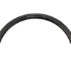 Image 1 for Panaracer T-Serv ProTite Tire (Black) (700c / 622 ISO) (28mm)