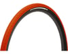 Image 1 for Panaracer Gravelking SK Tubeless Gravel Tire (Orange/Black)