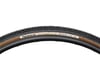 Image 1 for Panaracer Gravelking SK Tubeless Gravel Tire (Black/Brown) (700c) (38mm)