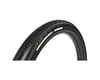 Image 1 for Panaracer GravelKing SK Tubeless Gravel Tire (Black) (700c) (40mm)