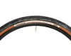 Image 3 for Panaracer Gravelking SK Tubeless Gravel Tire (Black/Brown) (700c) (50mm)