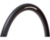 Related: Panaracer Gravelking SK+ Tubeless Gravel Tire (Black) (700c) (50mm)