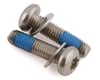 Image 1 for Paul Components Stainless Mounting Bolts (T-25) (Pair) (For Flat Mount Calipers) (20mm)